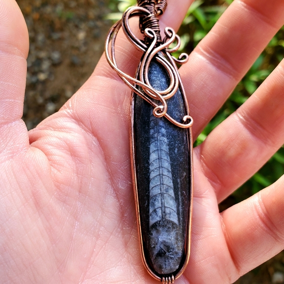 New Oversized Orthoceras Fossil Wire Wrapped Pendant. - Picture 11 of 15